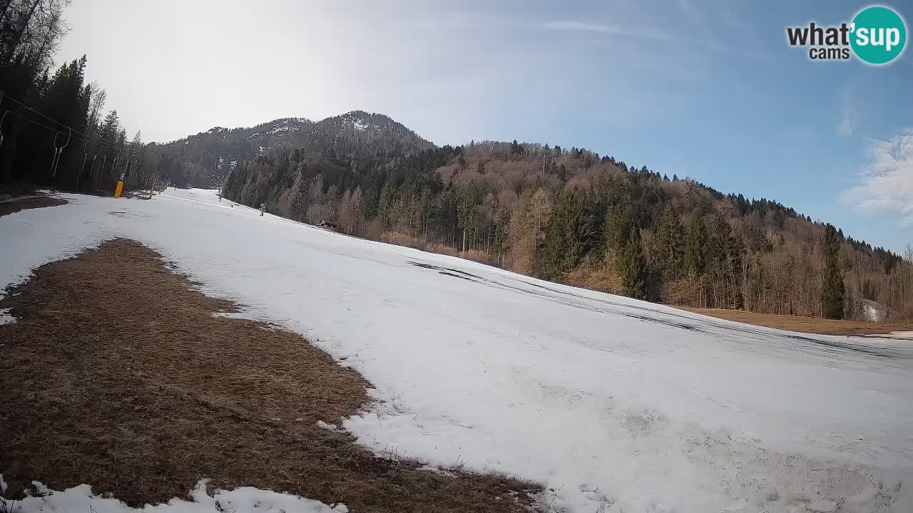 Ski Kranjska Gora | Brsnina