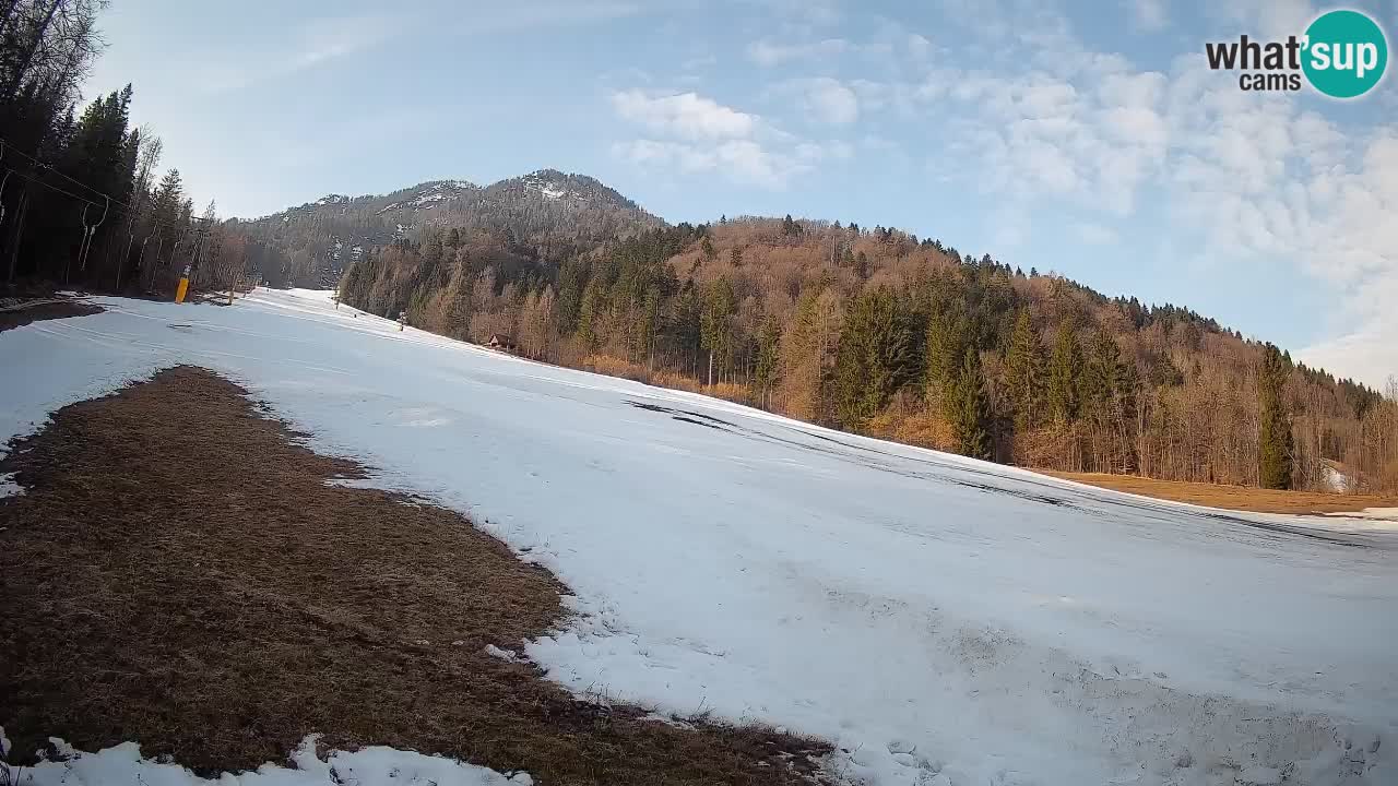 Ski Kranjska Gora | Brsnina