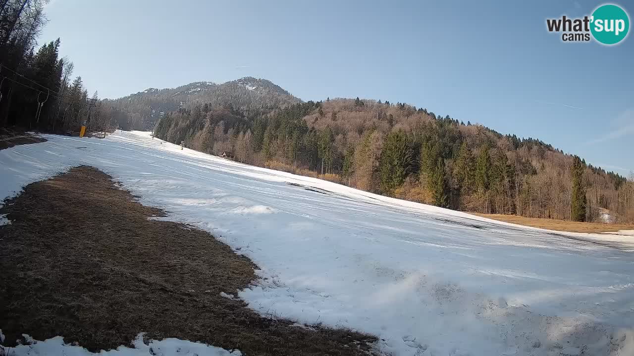 RTC Kranjska Gora | Brsnina