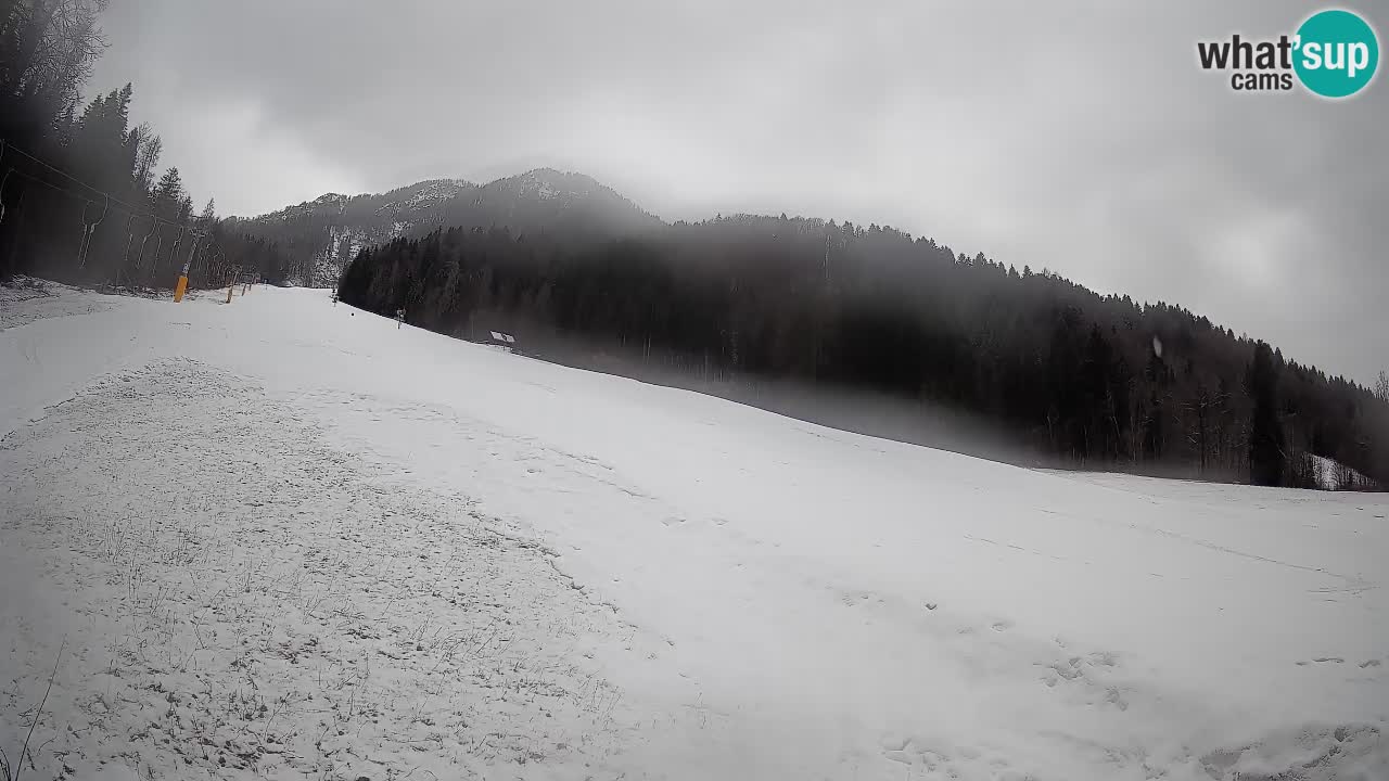 RTC Skigebiet Kranjska Gora | Brsnina