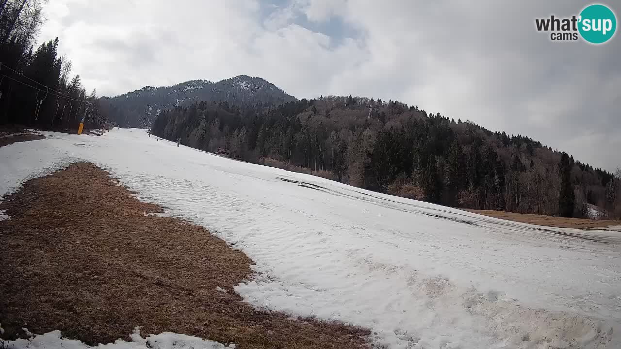 Ski Kranjska Gora | Brsnina