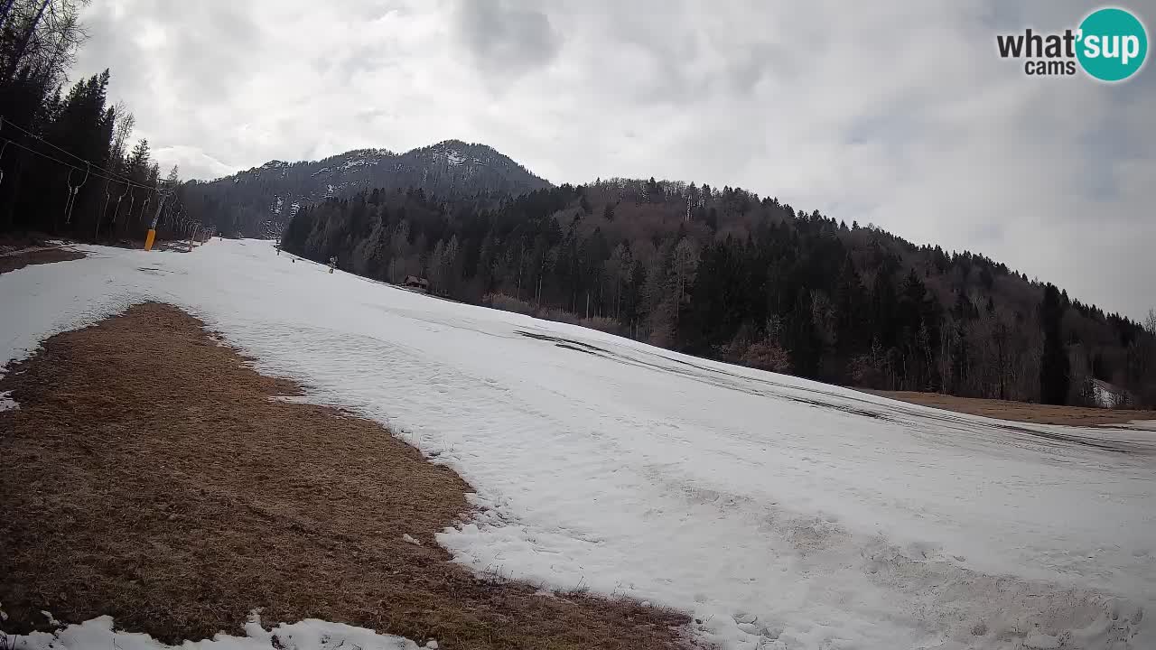 Ski Kranjska Gora | Brsnina