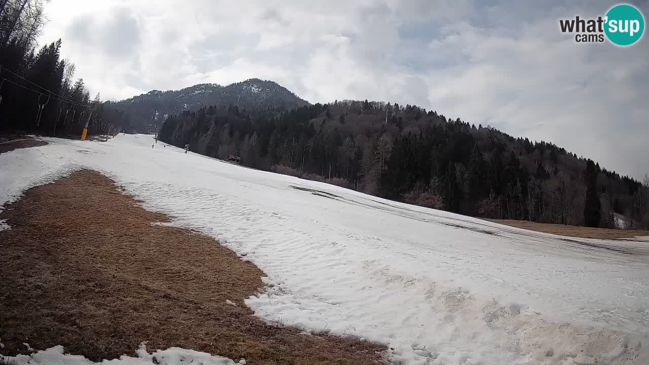 Ski Kranjska Gora | Brsnina