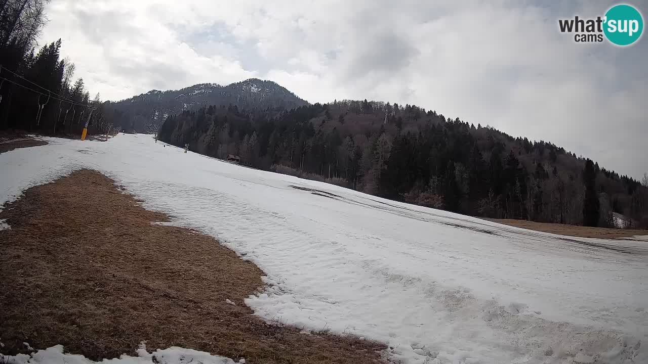Ski Kranjska Gora | Brsnina