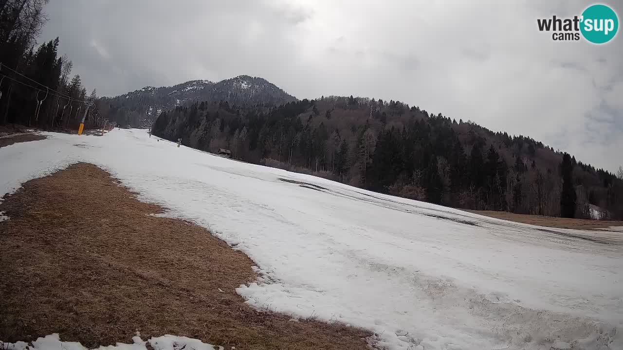 Ski Kranjska Gora | Brsnina
