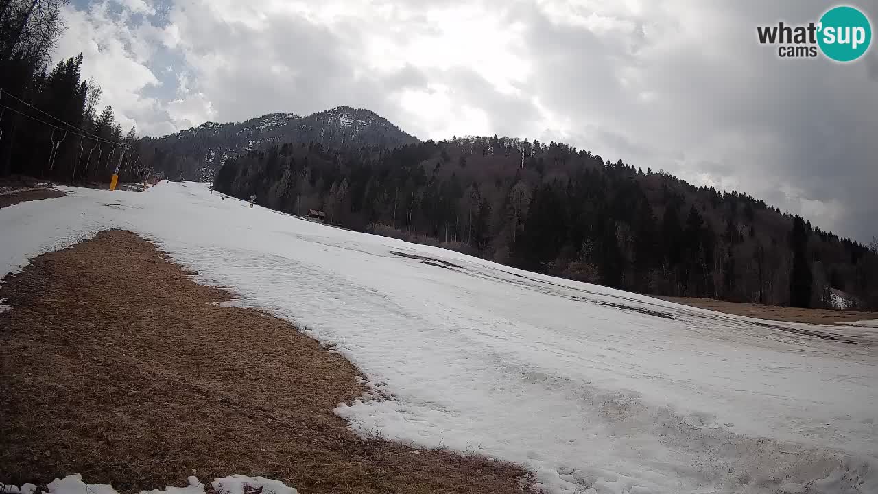 Ski Kranjska Gora | Brsnina