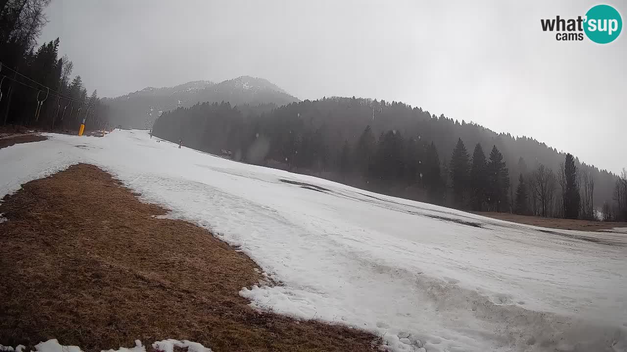 Ski Kranjska Gora | Brsnina