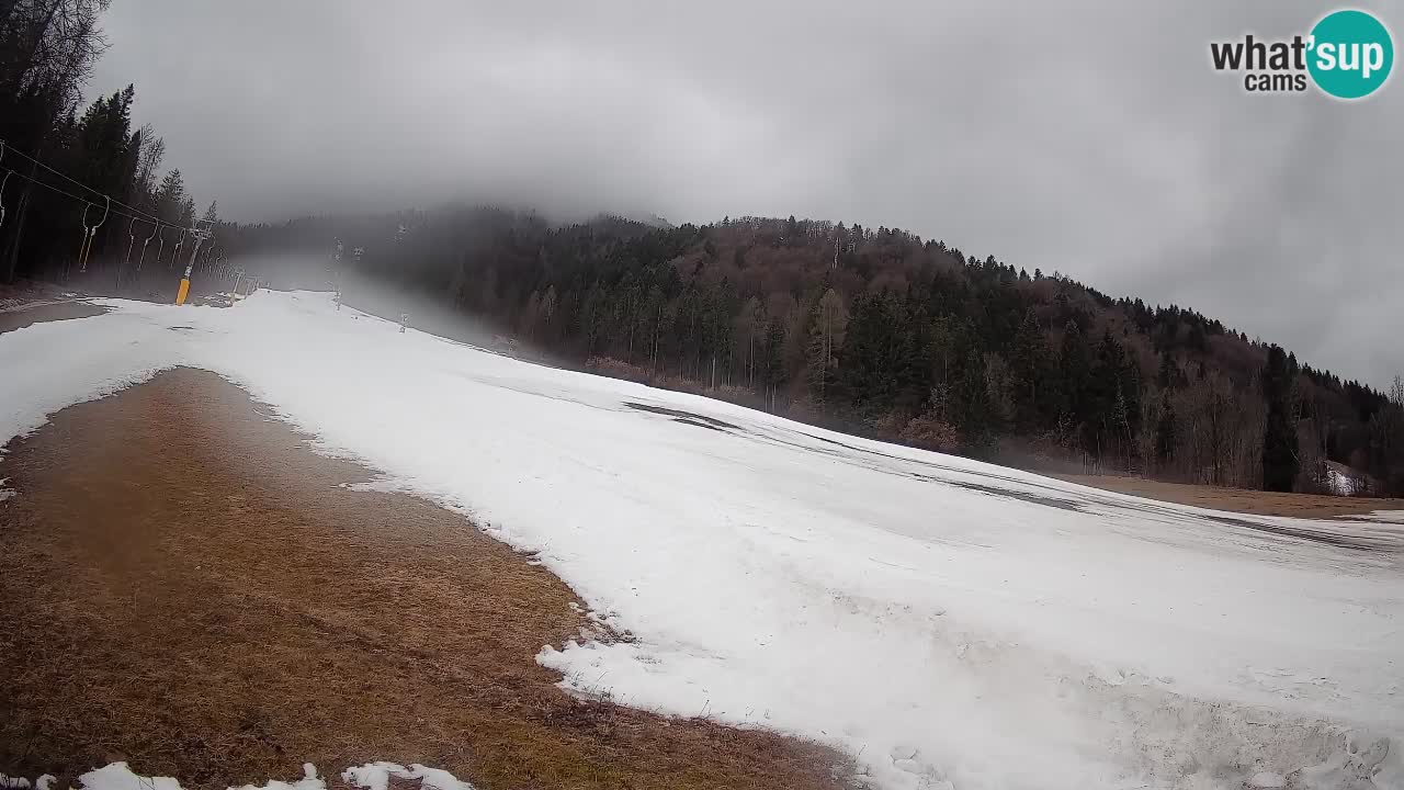 Ski Kranjska Gora | Brsnina