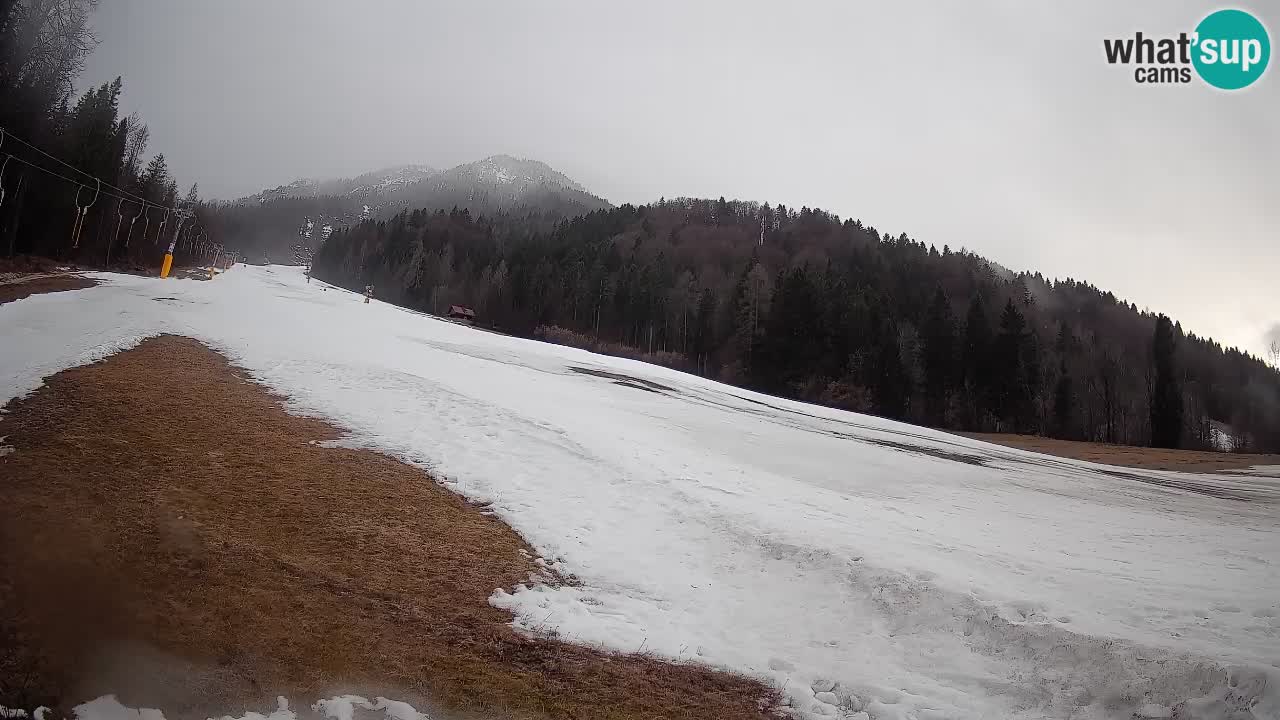 Ski Kranjska Gora | Brsnina