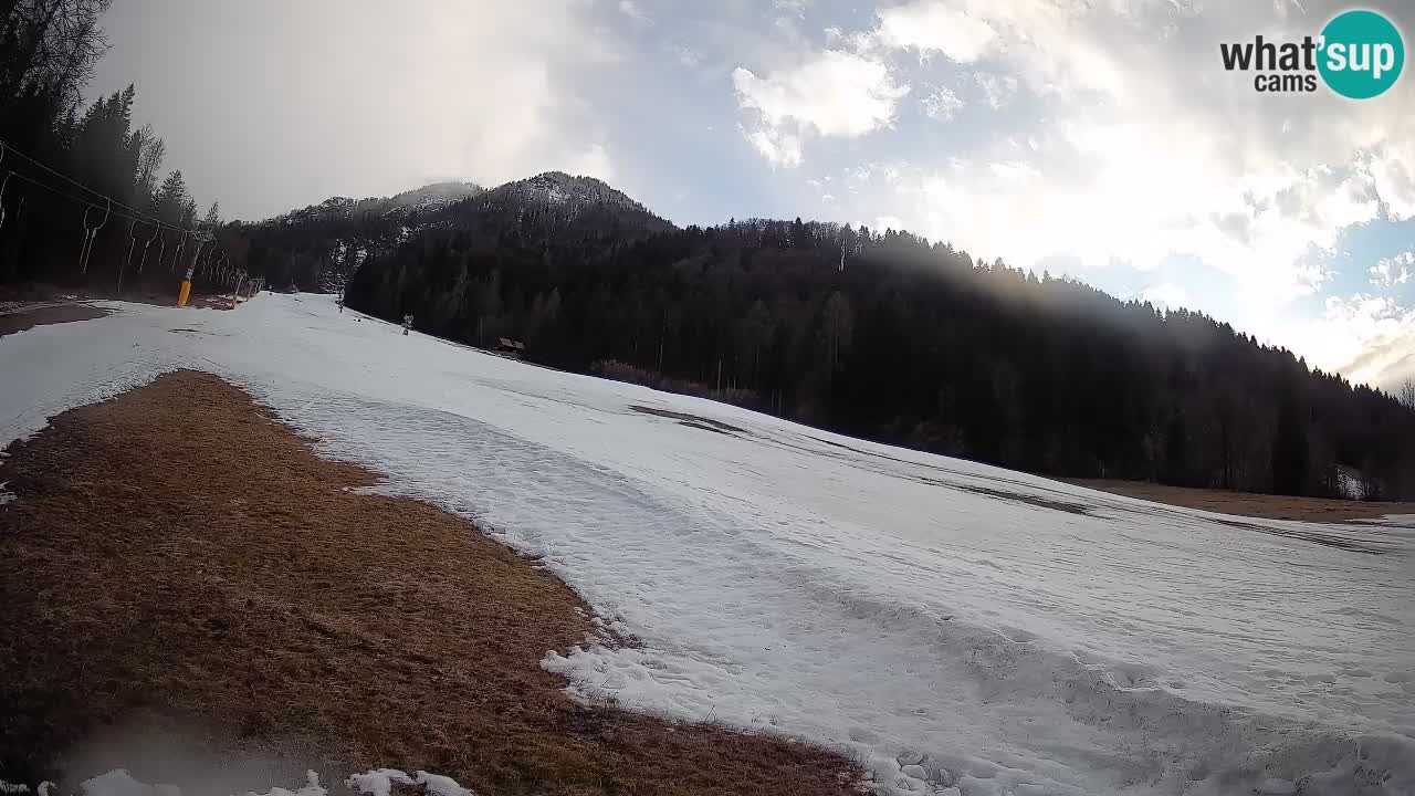 Ski Kranjska Gora | Brsnina