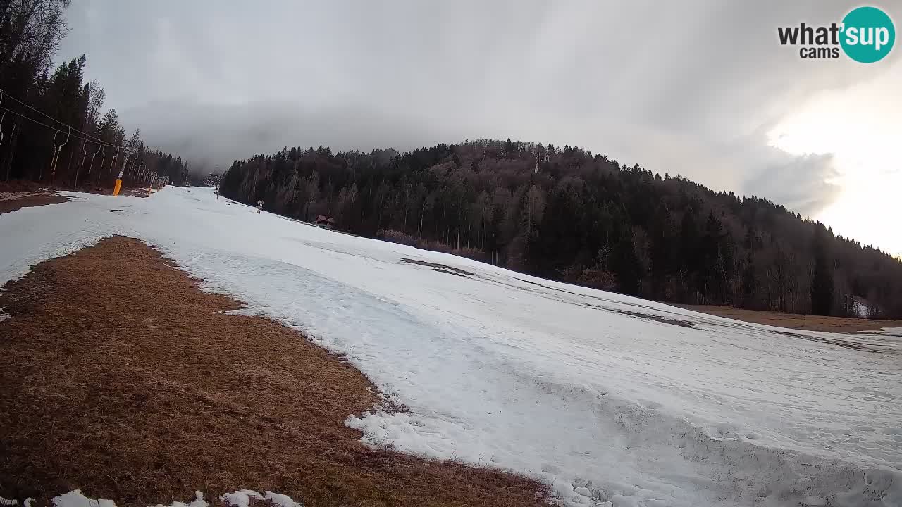 RTC Skigebiet Kranjska Gora | Brsnina