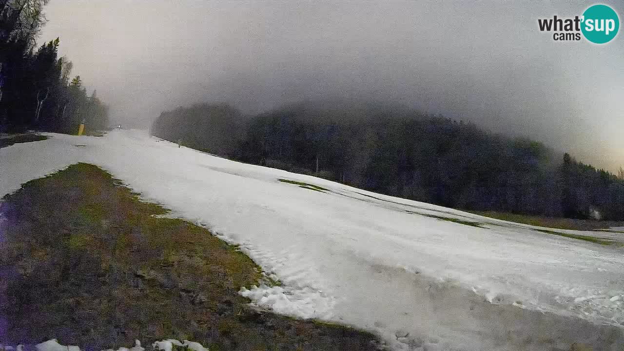 Ski Kranjska Gora | Brsnina