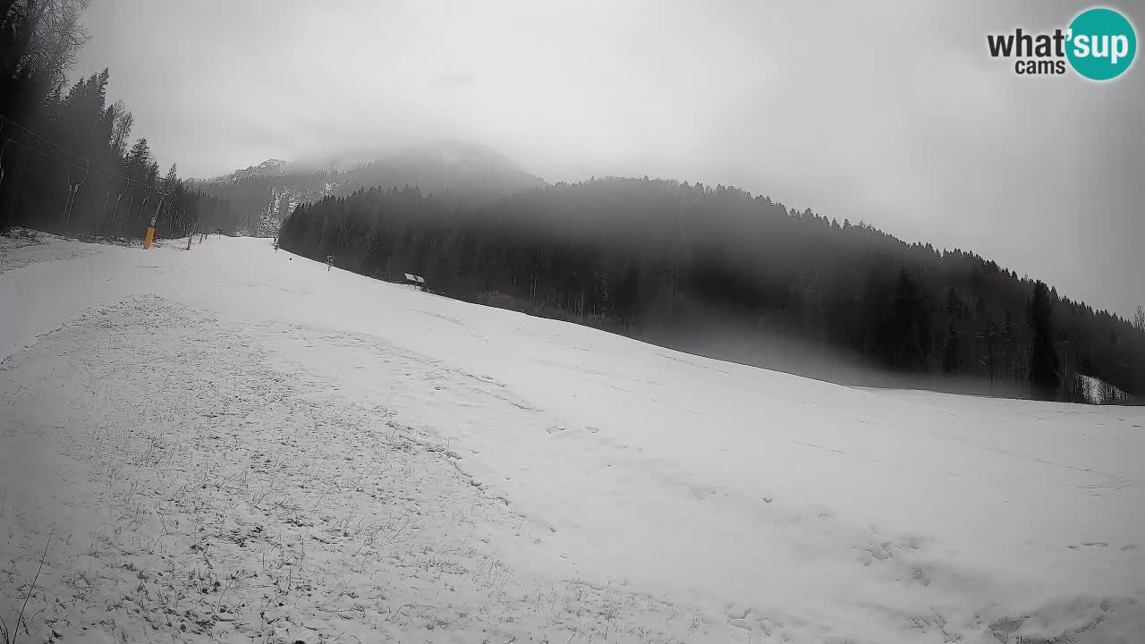 Comprensorio sciistico Kranjska Gora | Brsnina