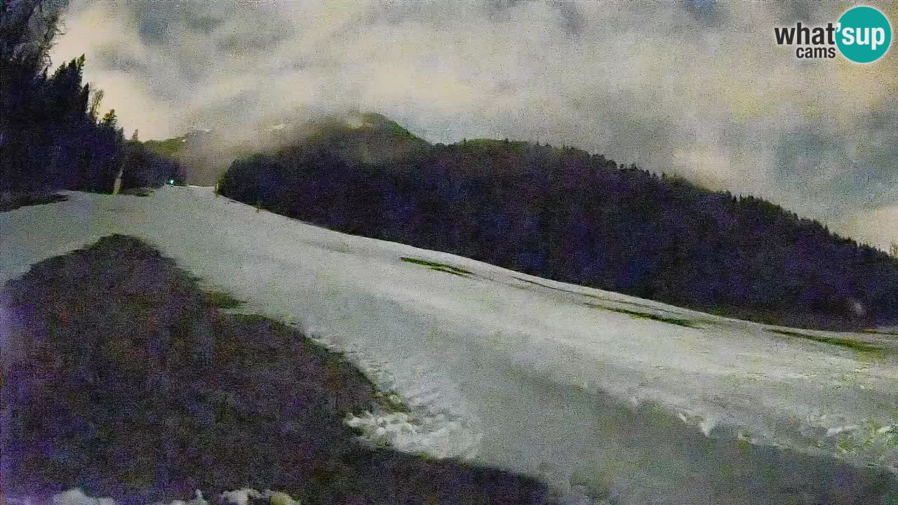 Ski Kranjska Gora | Brsnina