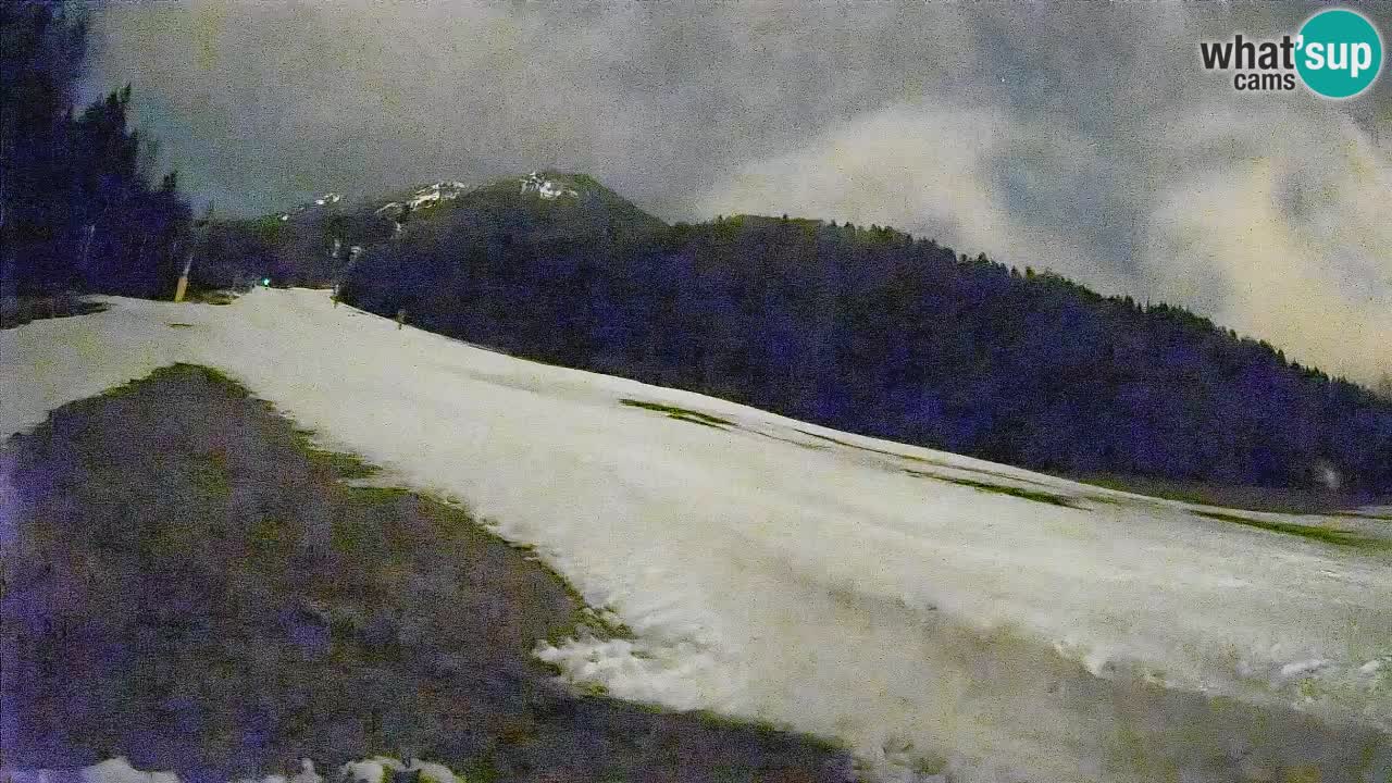 Ski Kranjska Gora | Brsnina