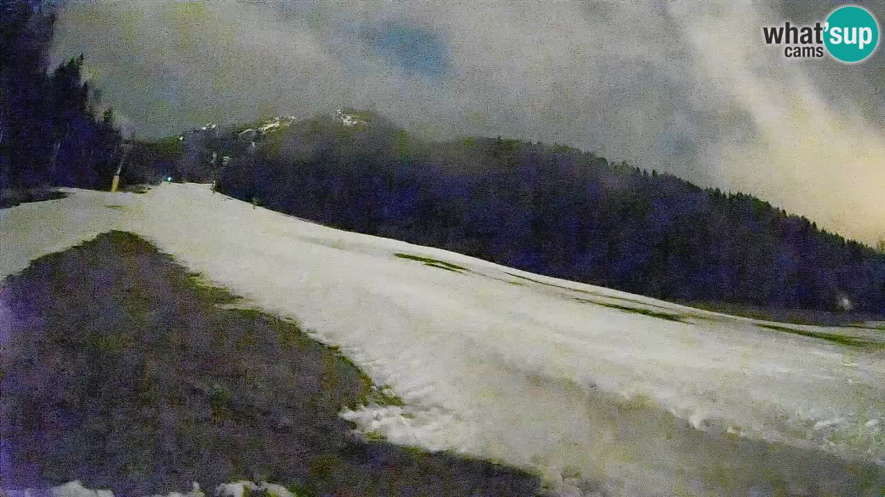 Ski Kranjska Gora | Brsnina