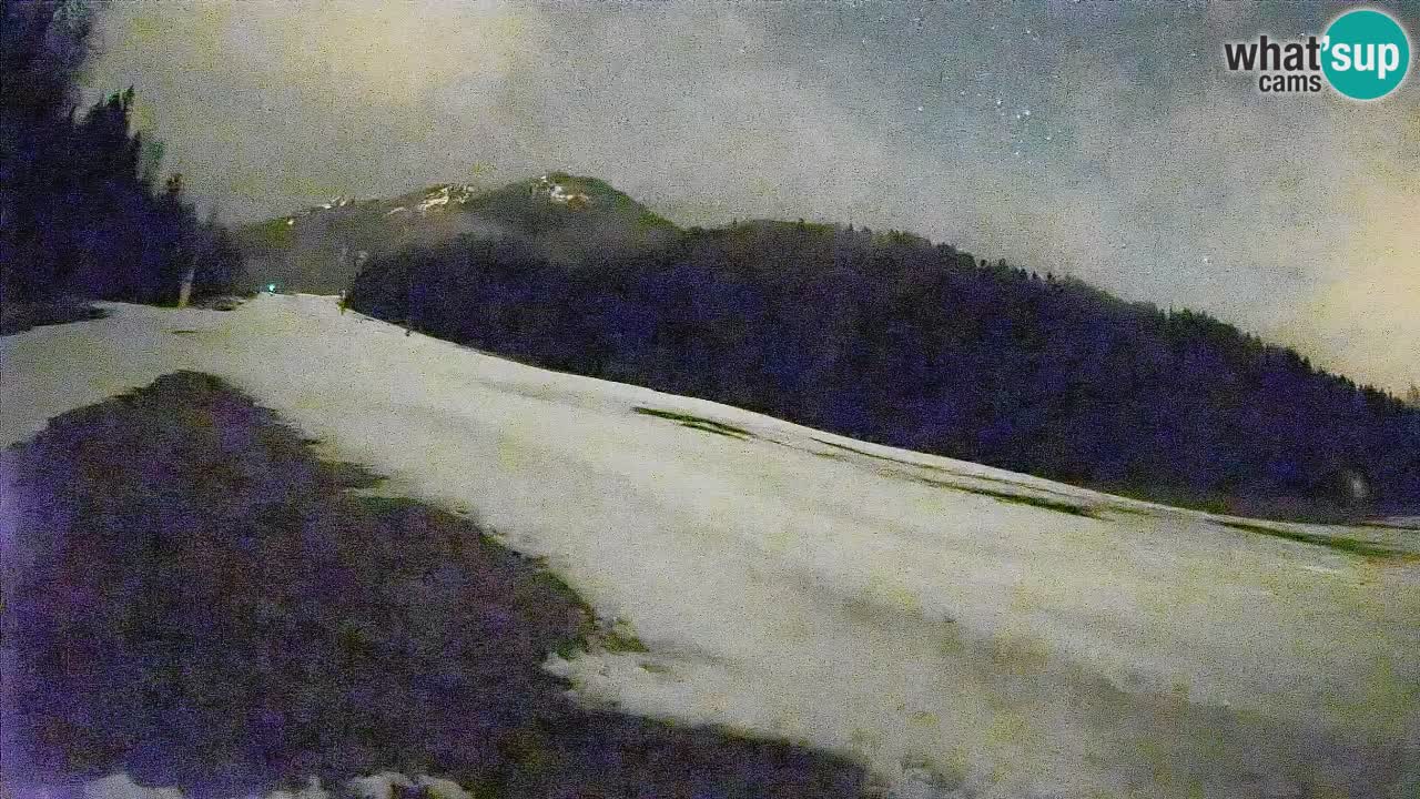 Ski Kranjska Gora | Brsnina