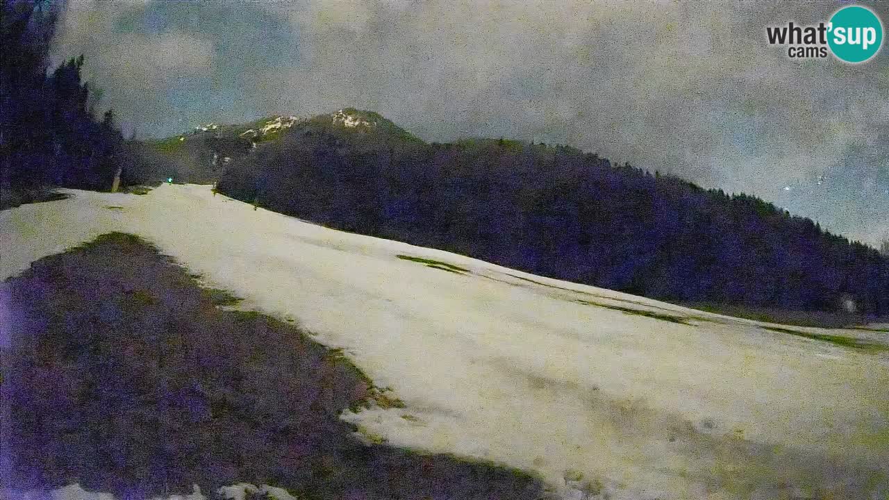 Comprensorio sciistico Kranjska Gora | Brsnina