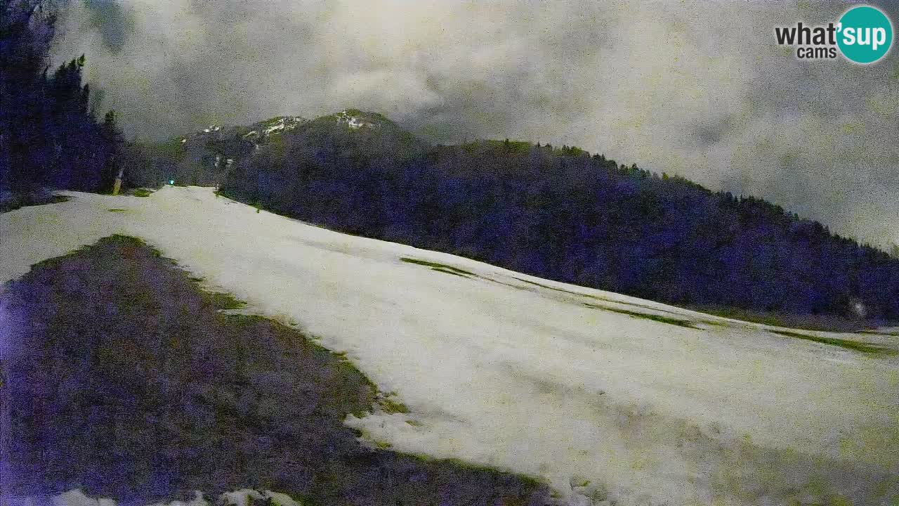 RTC Kranjska Gora | Brsnina