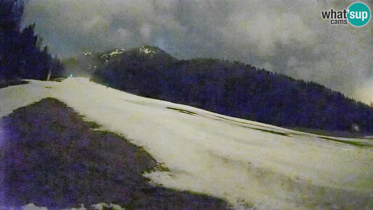 Ski Kranjska Gora | Brsnina