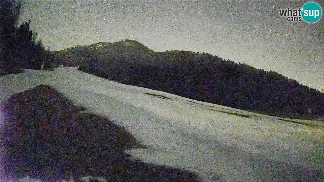 Ski Kranjska Gora | Brsnina