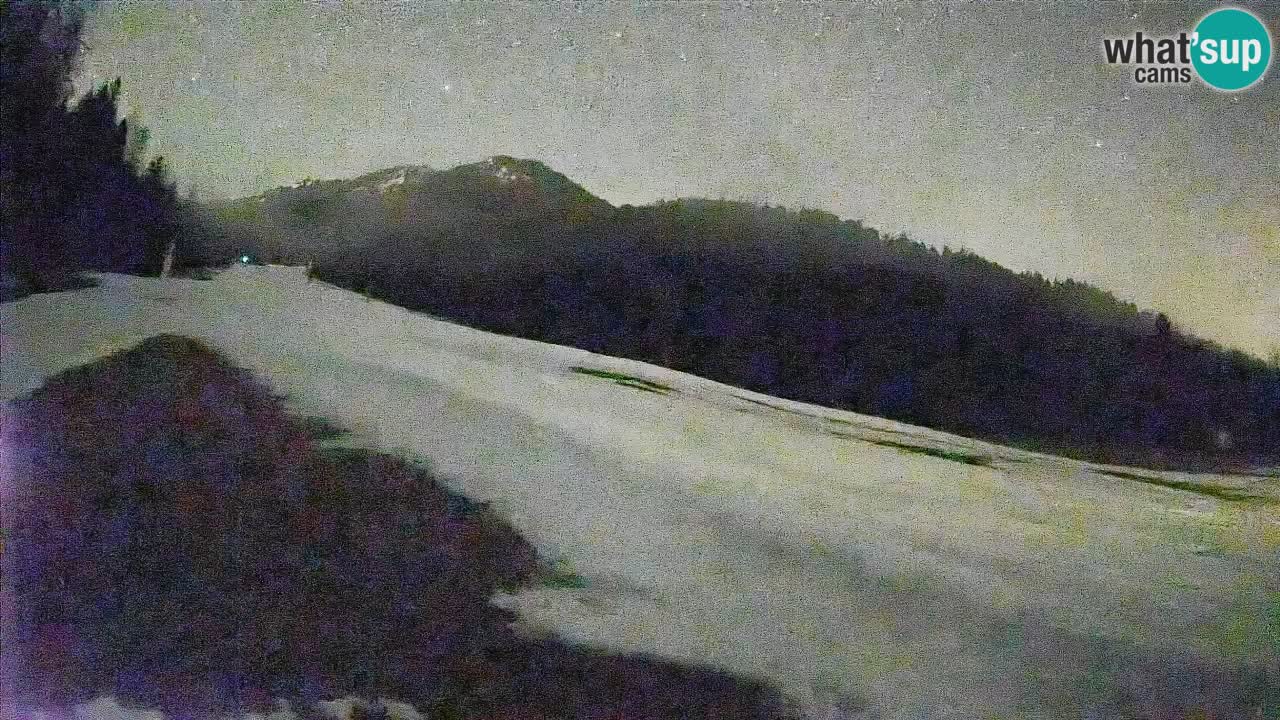 RTC Kranjska Gora | Brsnina