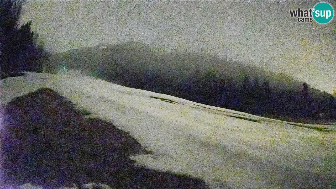 Ski Kranjska Gora | Brsnina