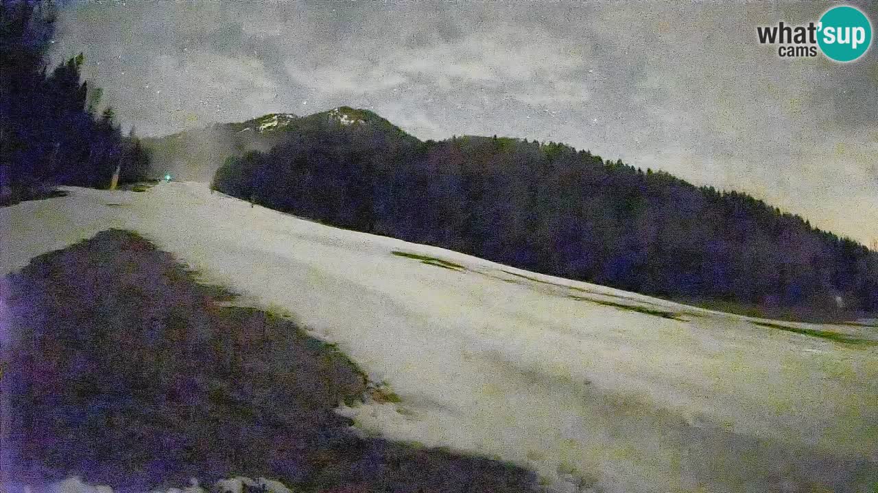 Ski Kranjska Gora | Brsnina