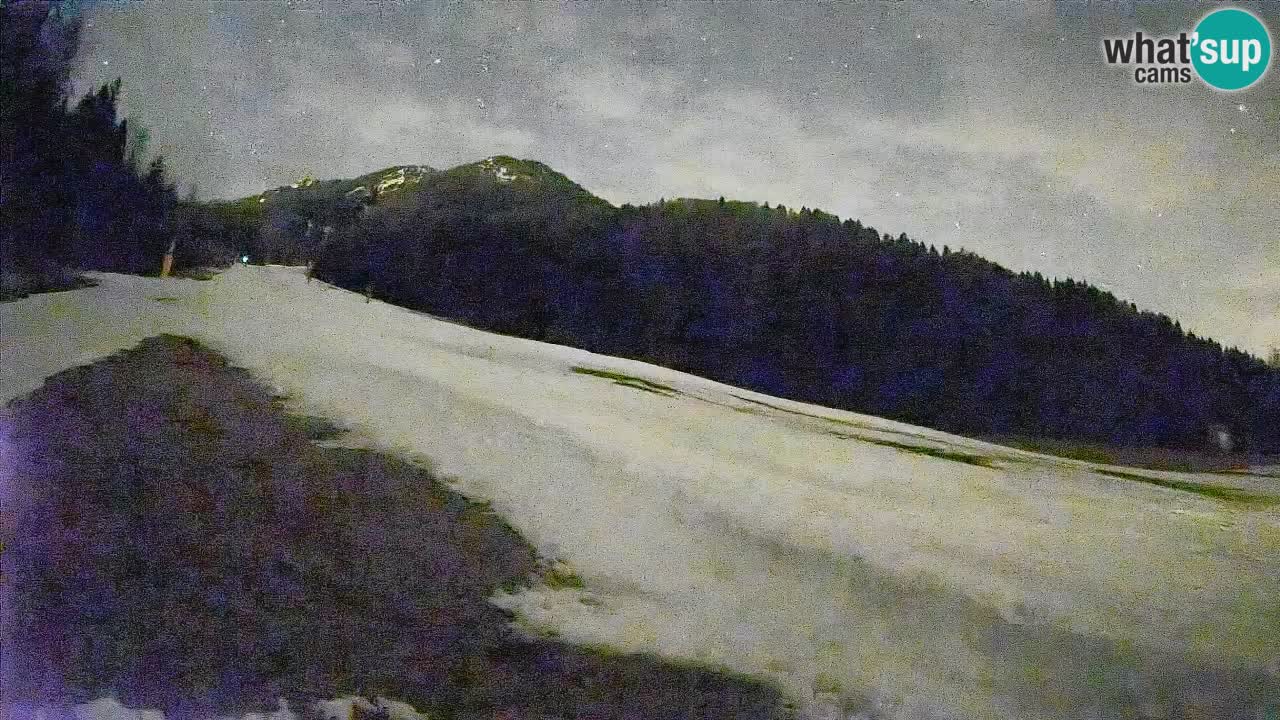 Ski Kranjska Gora | Brsnina