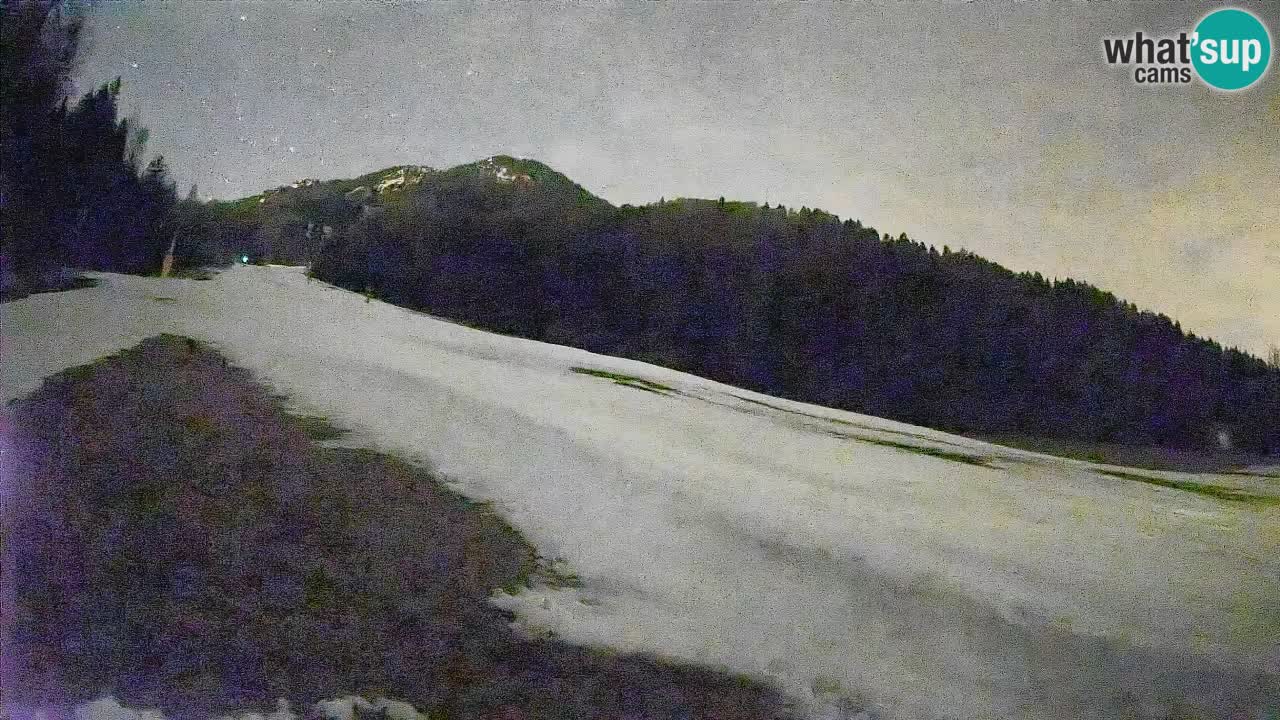 Ski Kranjska Gora | Brsnina