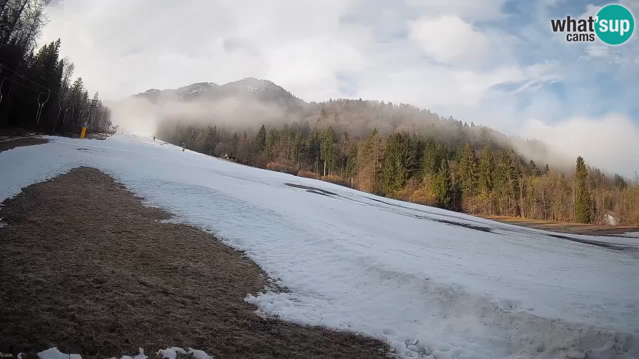 Kranjska Gora SKIJANJE | Brsnina