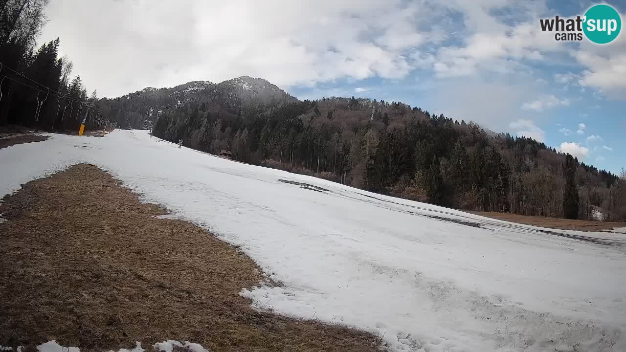 Ski Kranjska Gora | Brsnina