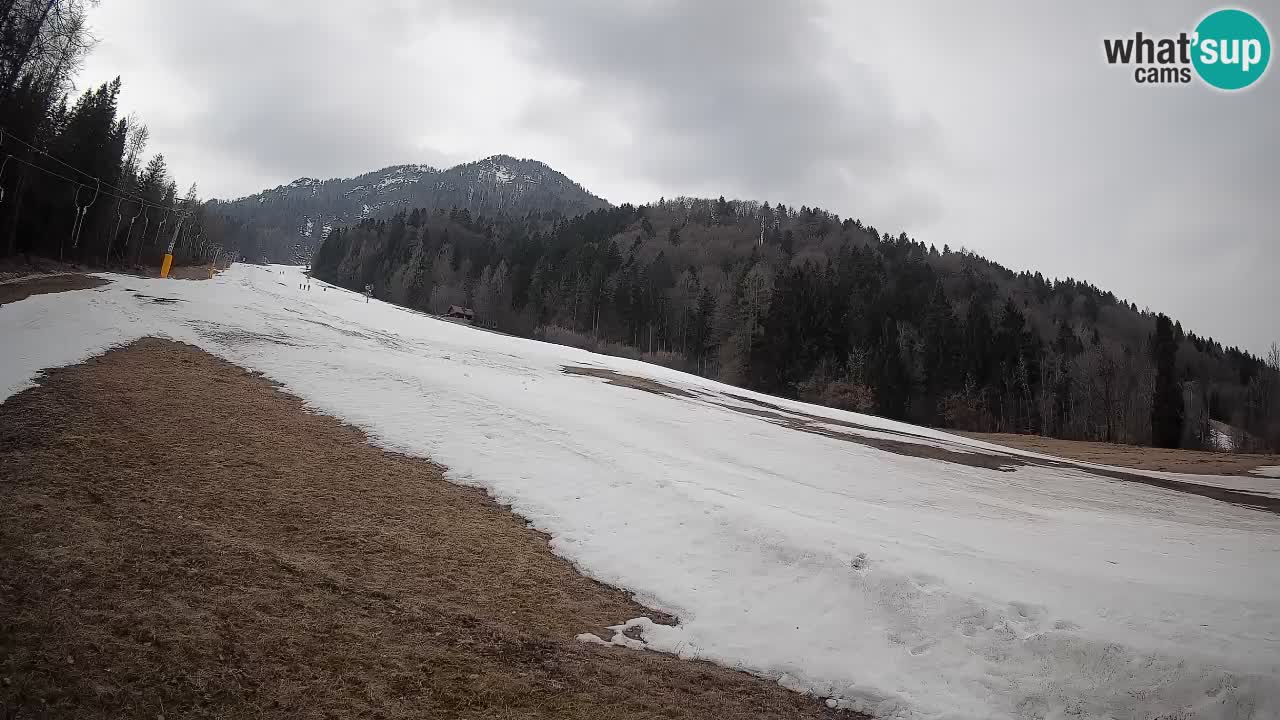 Kranjska Gora SKIJANJE | Brsnina