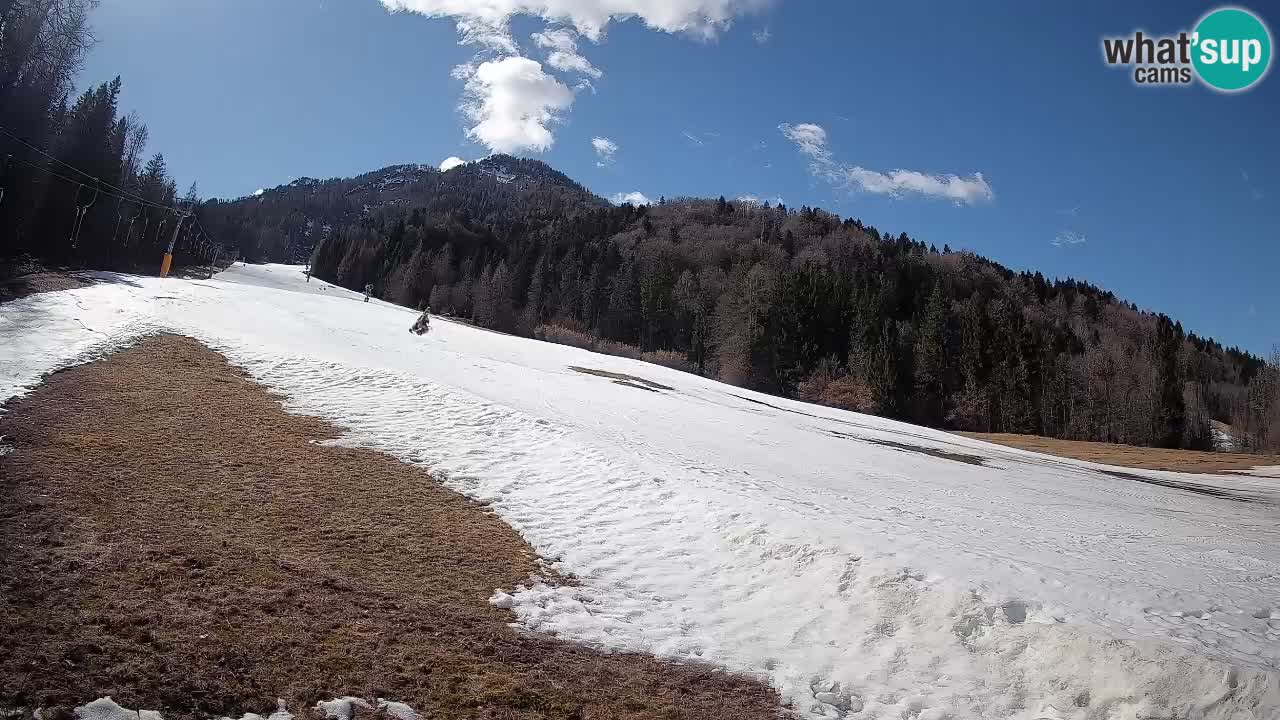 Ski Kranjska Gora | Brsnina