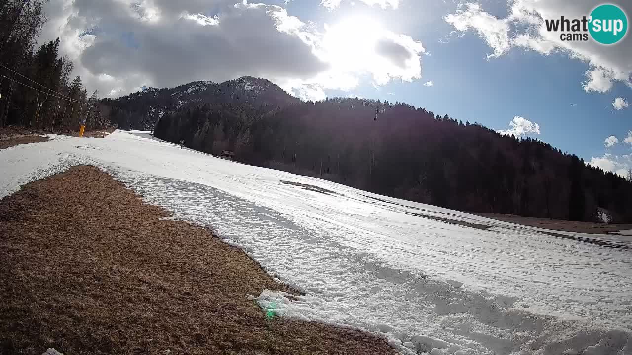 Kranjska Gora Station de ski | Brsnina