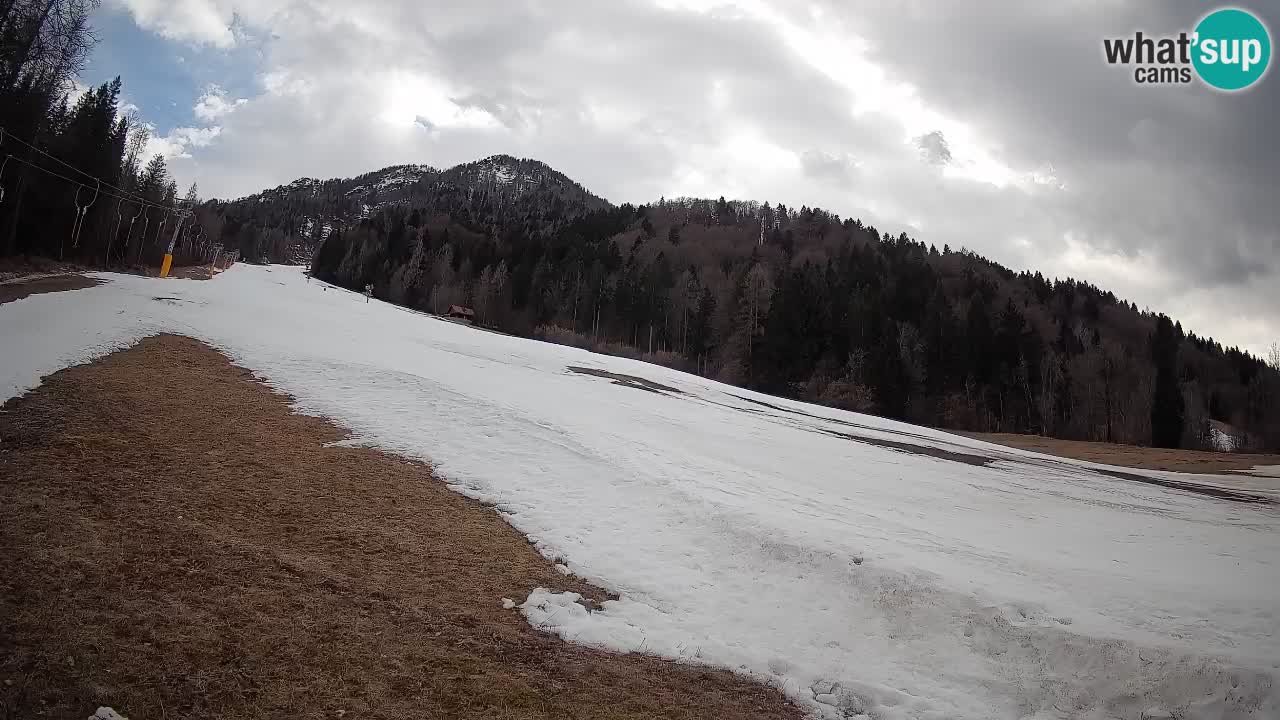 Comprensorio sciistico Kranjska Gora | Brsnina