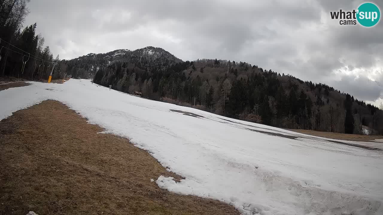 Esquí Kranjska Gora | Brsnina