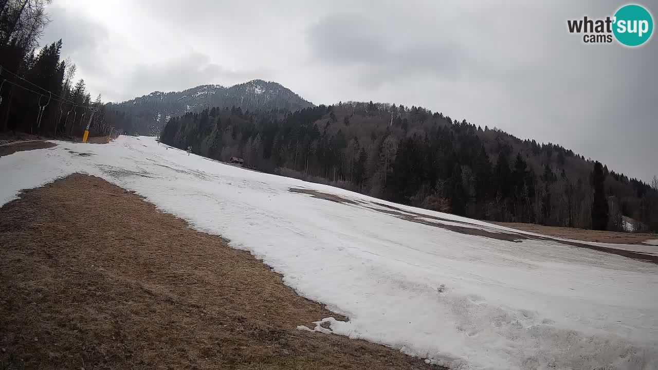 Esquí Kranjska Gora | Brsnina