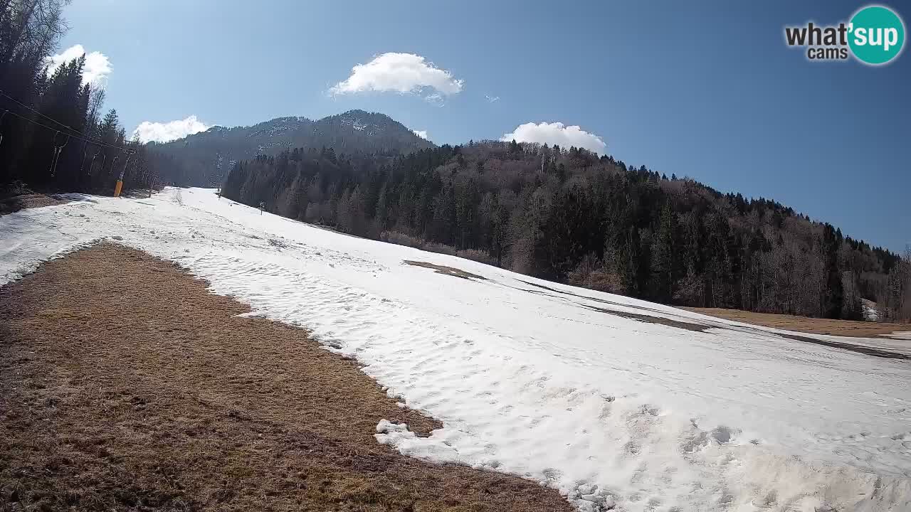 Comprensorio sciistico Kranjska Gora | Brsnina