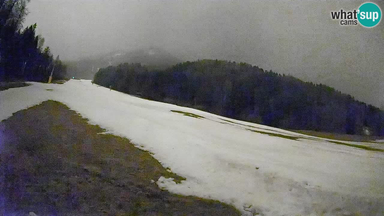 Comprensorio sciistico Kranjska Gora | Brsnina