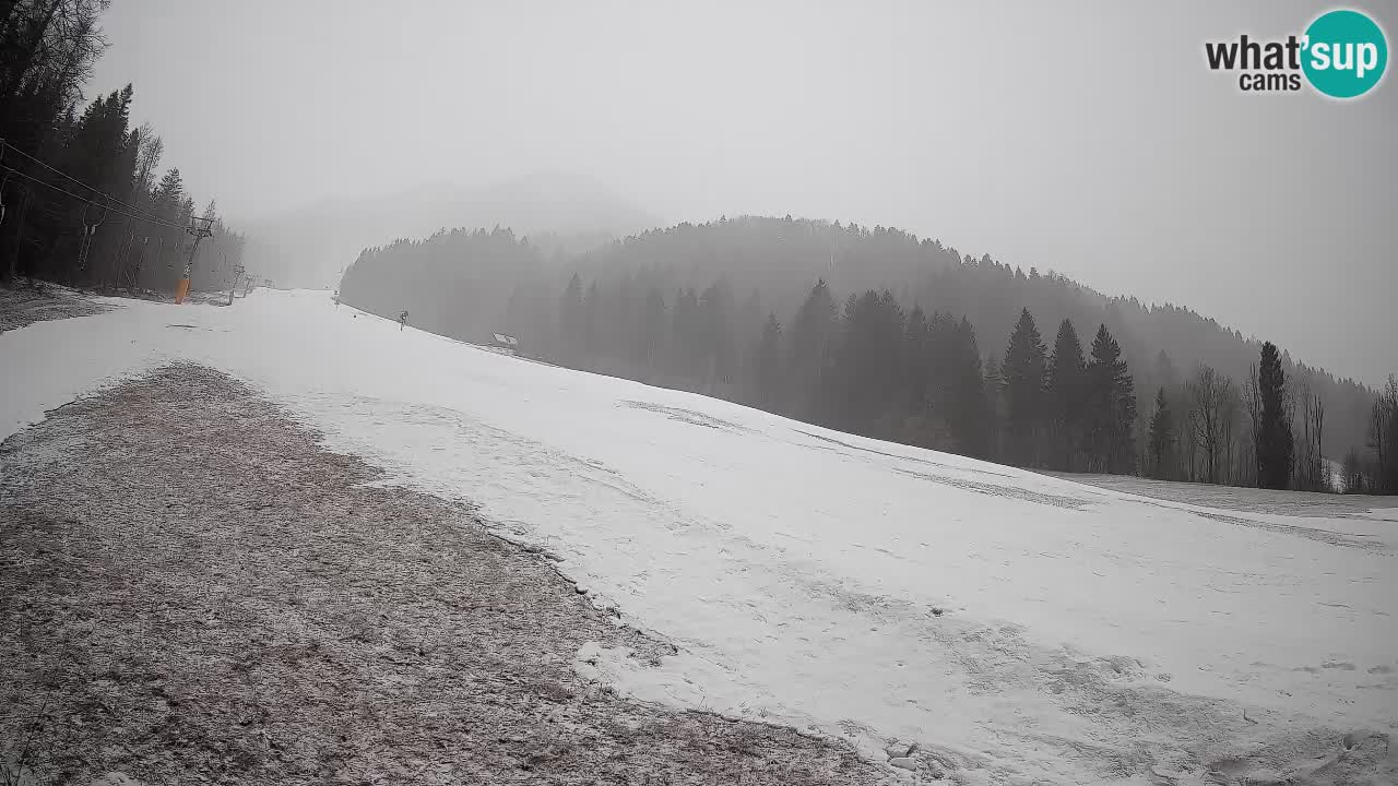 Esquí Kranjska Gora | Brsnina