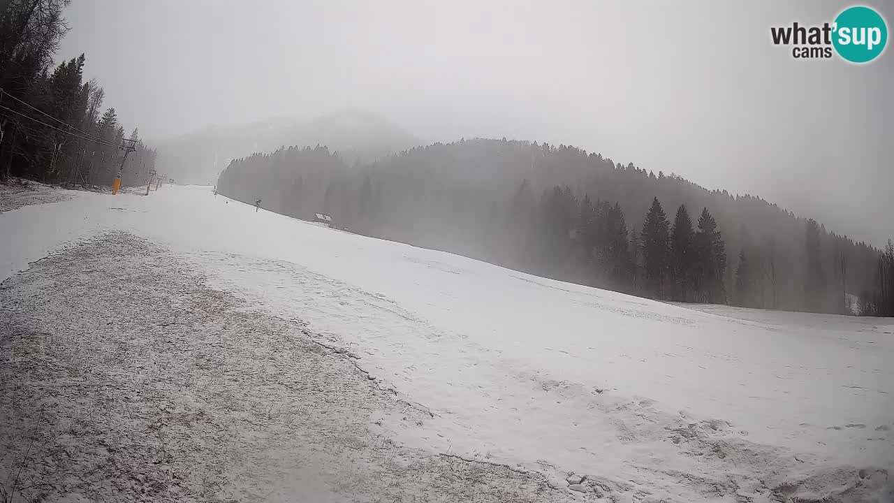 RTC Skigebiet Kranjska Gora | Brsnina