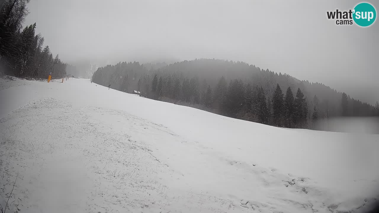 RTC Skigebiet Kranjska Gora | Brsnina