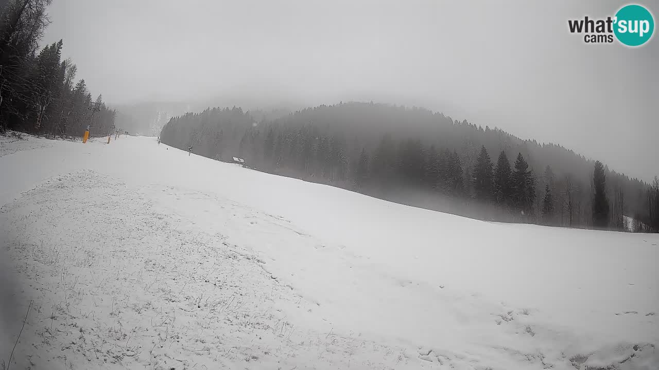 RTC Kranjska Gora | Brsnina