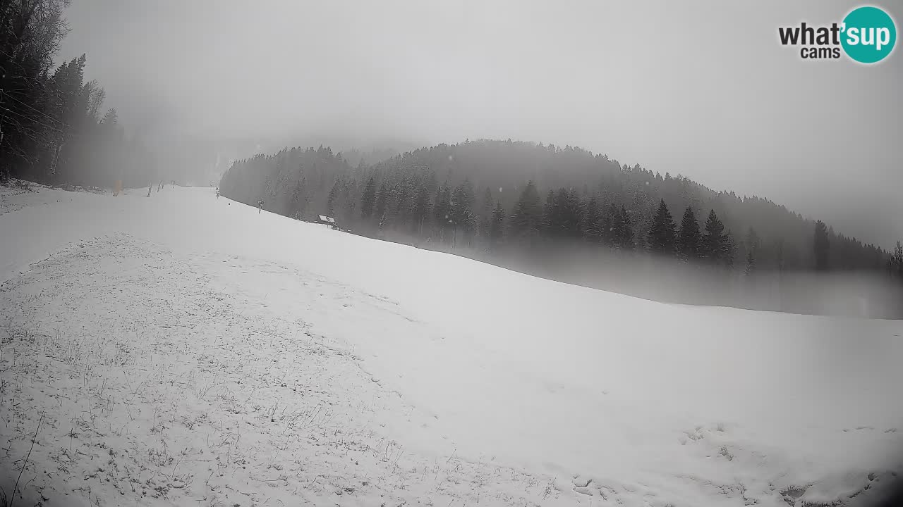 Esquí Kranjska Gora | Brsnina