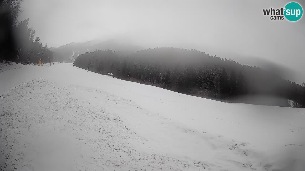 Esquí Kranjska Gora | Brsnina