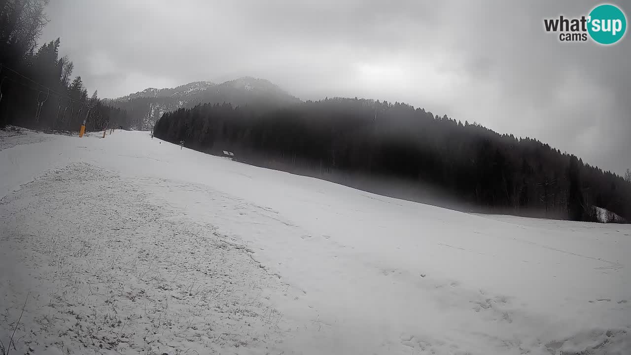 Kranjska Gora Station de ski | Brsnina