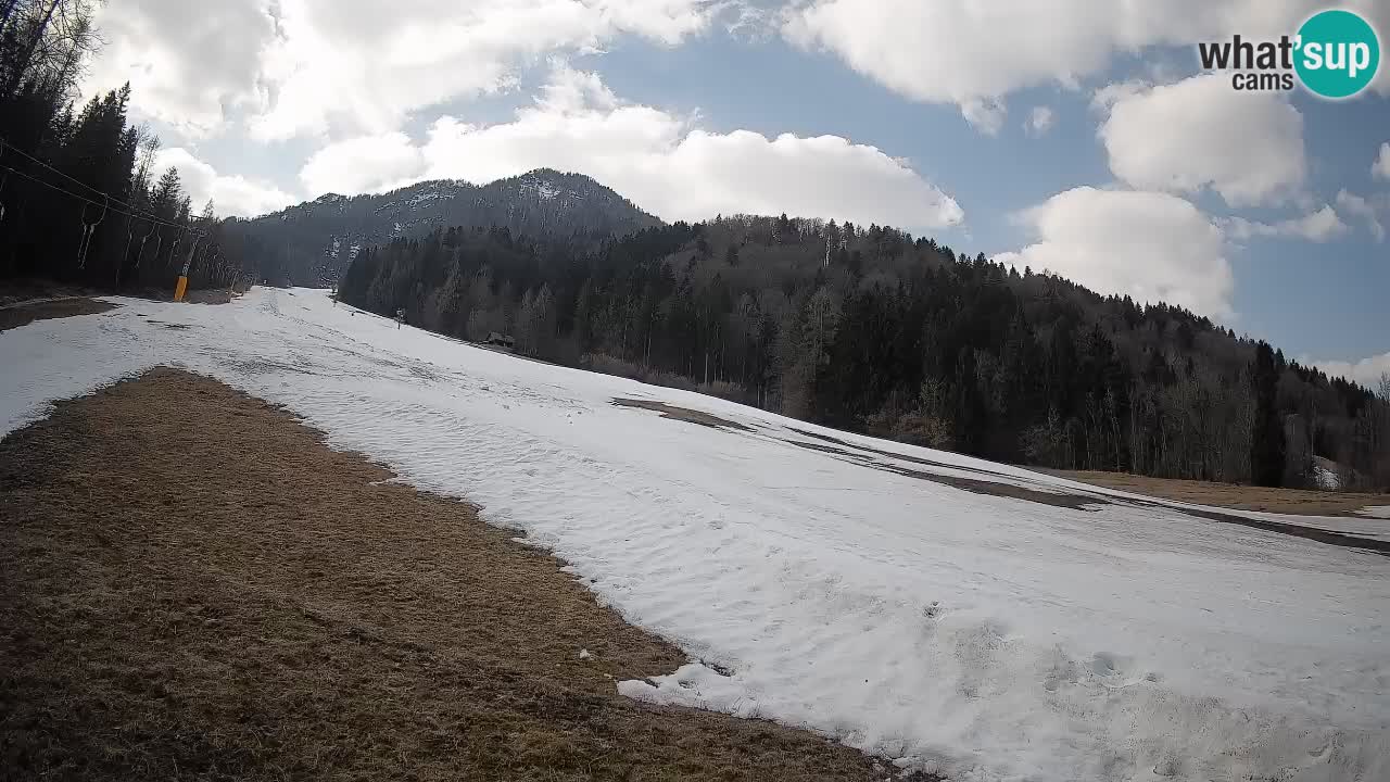 Ski Kranjska Gora | Brsnina