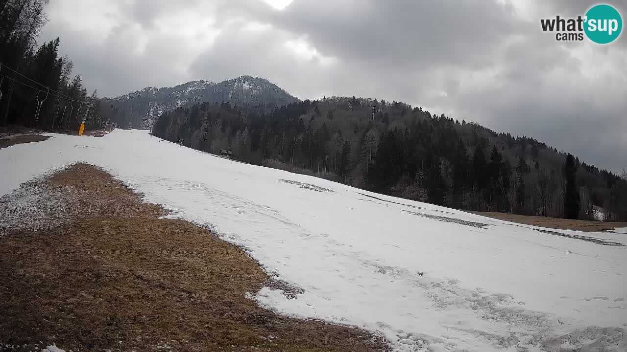 Ski Kranjska Gora | Brsnina