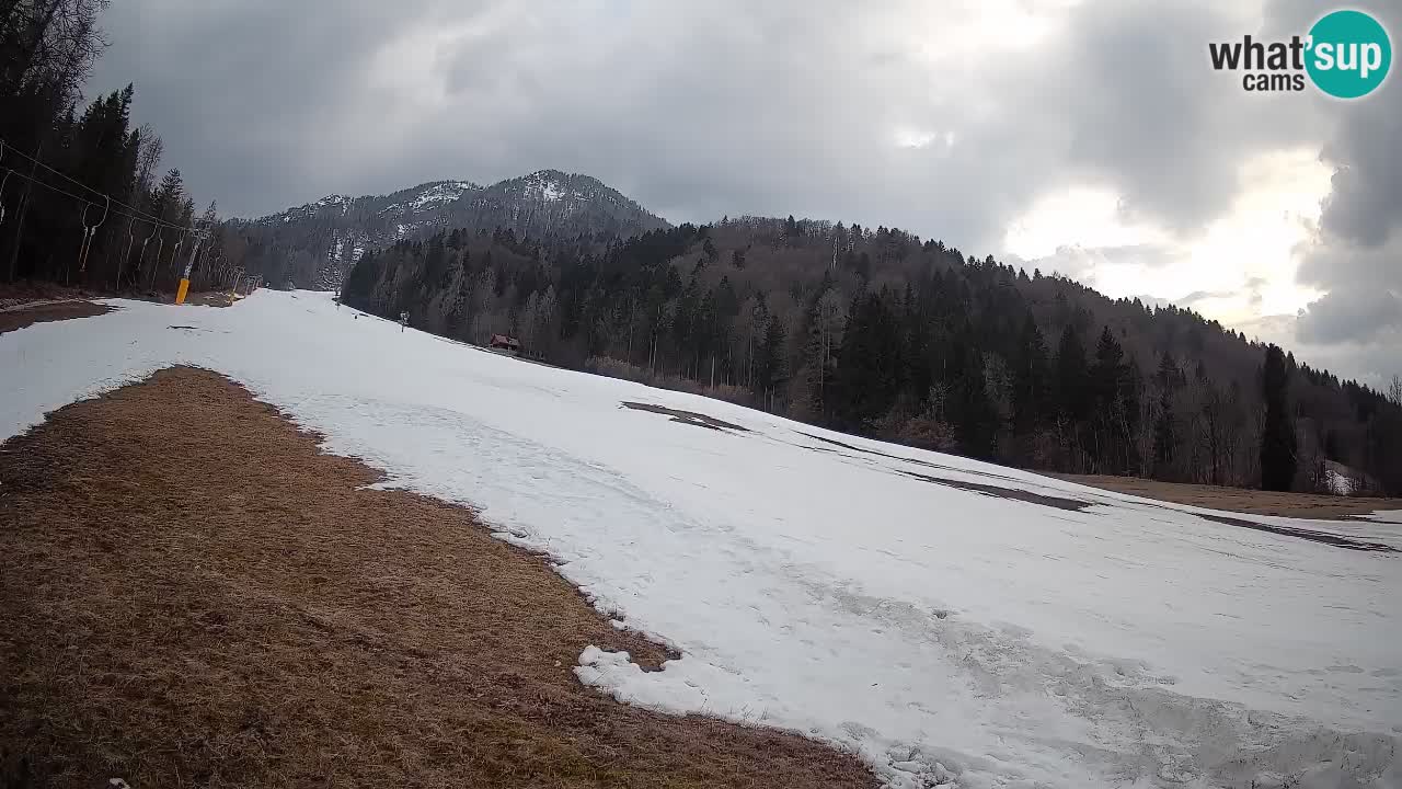Ski Kranjska Gora | Brsnina